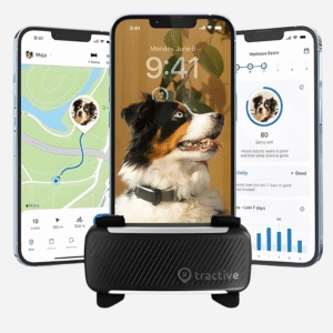 Dog Smart GPS Tracker